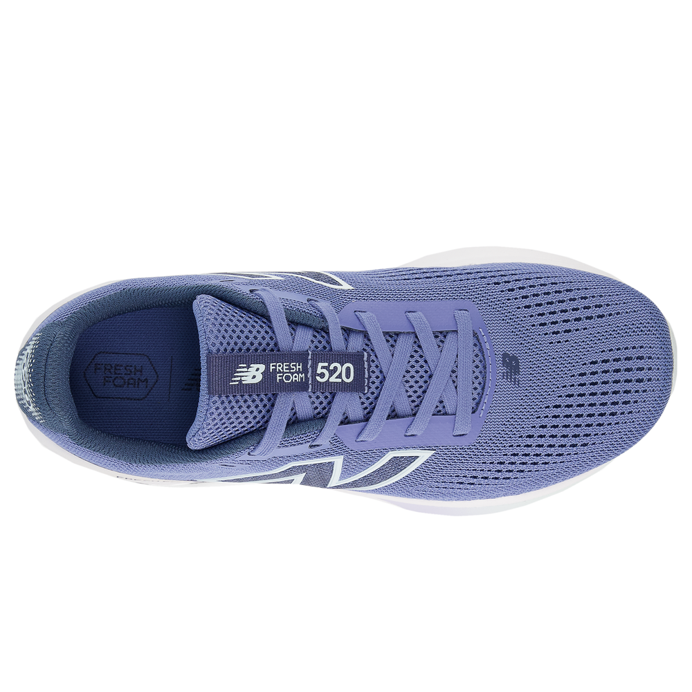 Dámské boty New Balance Fresh Foam x 520 v9 W5204YJ – modré